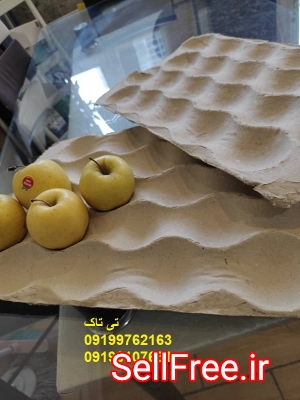 شانه مقوایی میوه صادراتی ، شانه سیب 09199762163